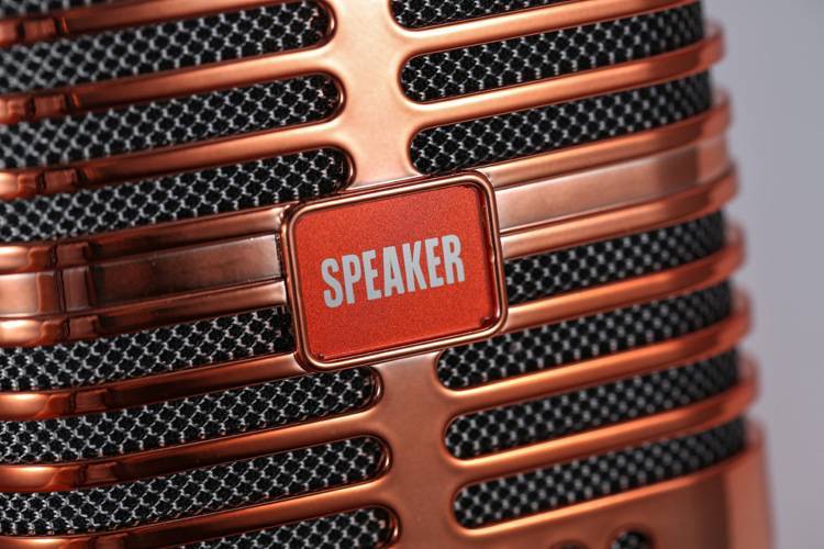 Wireless Bluetooth Speaker Metal USB TF Card T20 - Gold - Image 3