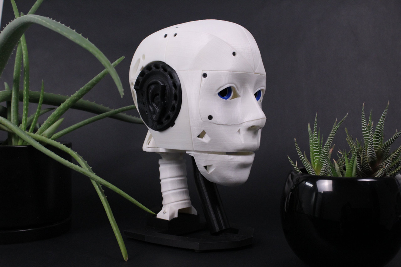 InMoov Humanoid Head DIY Kit (Without Motors) - Image 2