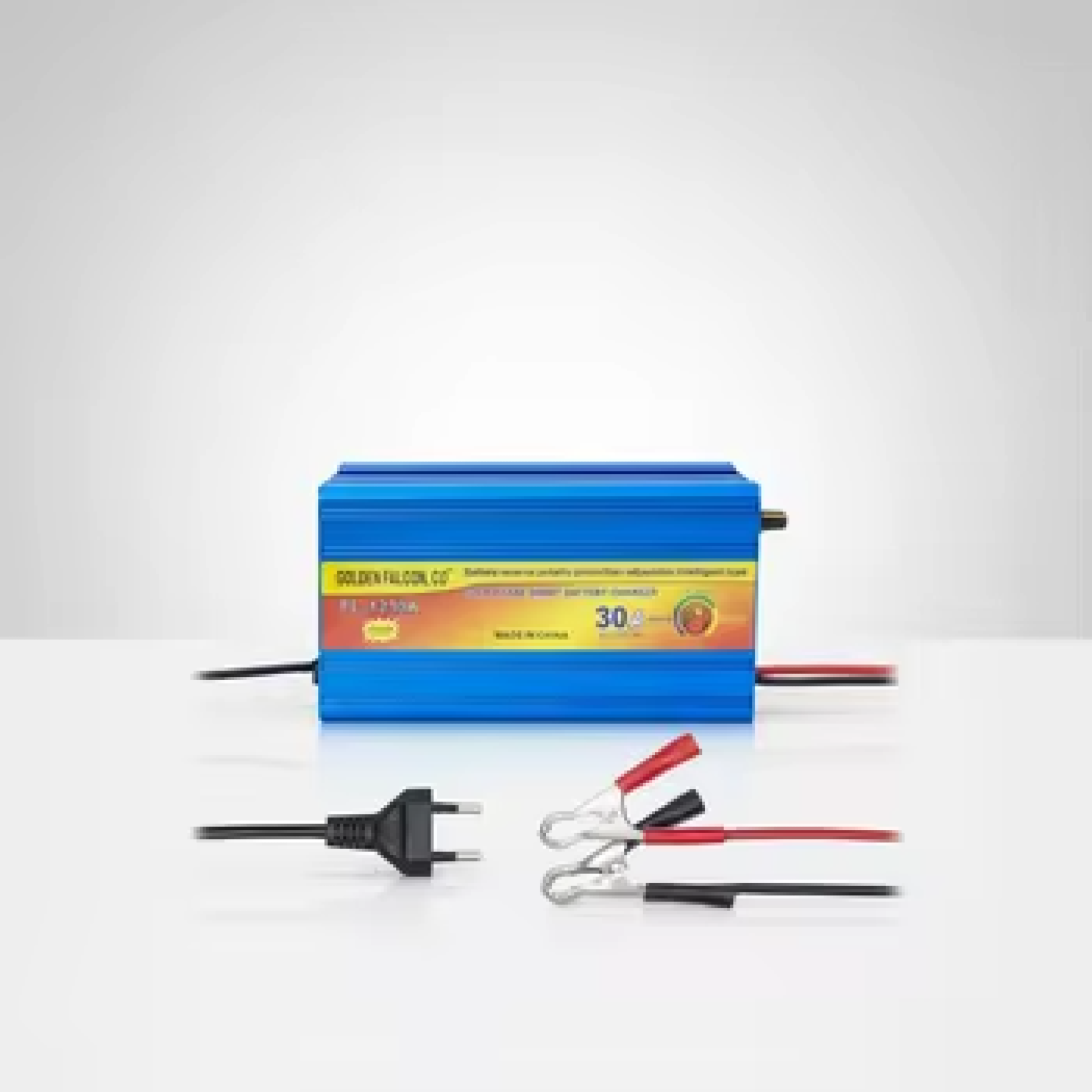 Universal Smart  Battery Charger 12V 30a for Lead Acid Battery