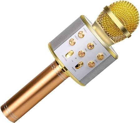 Handheld Wireless Singing Multi-Function Bluetooth with Microphone Speaker